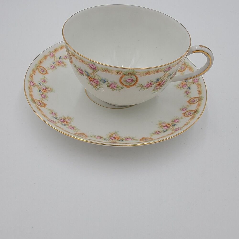 Vintage MZ Austria Habsburg China Teacup Saucer Floral Porcelain Gold Trim